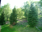Super king room looks out to the garden and surrounding woodlands