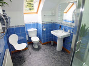 Large Ensuite with powerful shower
